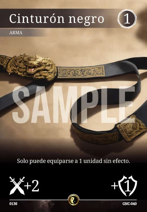 Cinturón negro