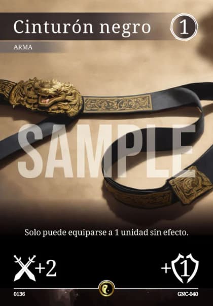 Cinturón negro