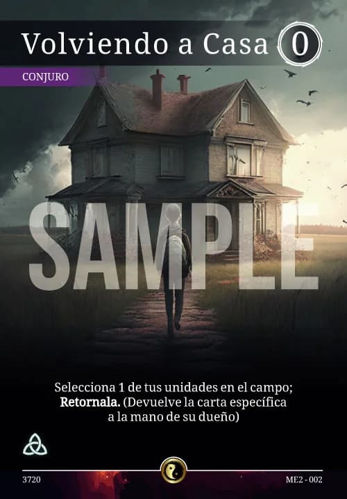 Volviendo a Casa